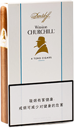 指挥官款图示