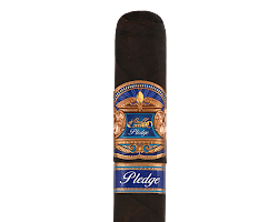 E.P. Carrillo Pledge Apogee