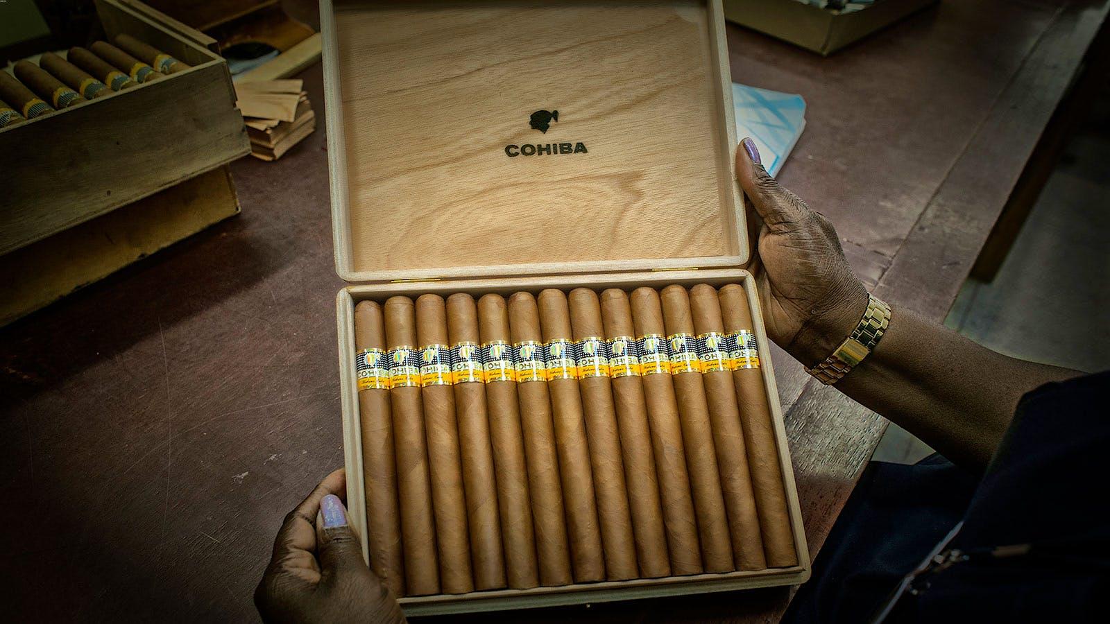 Cohiba Esplendidos的盒子