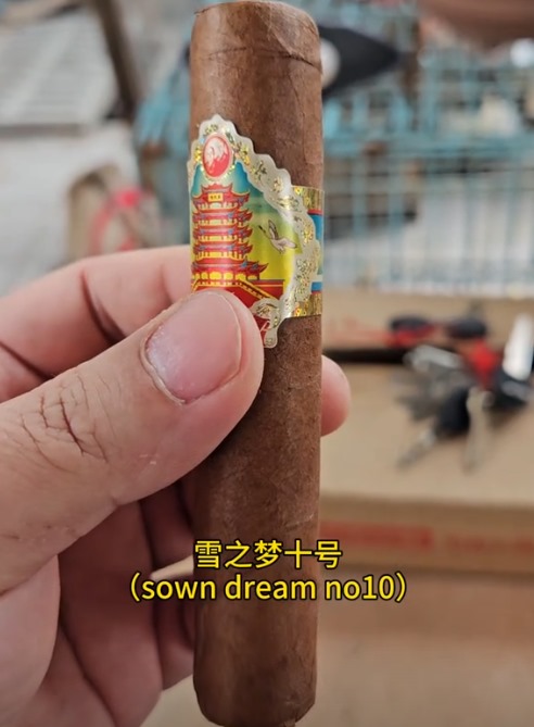 黄鹤楼雪之梦10号